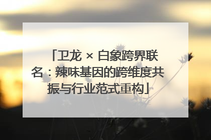 卫龙 × 白象跨界联名：辣味基因的跨维度共振与行业范式重构
