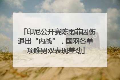 印尼公开赛陈雨菲因伤退出“内战”，国羽各单项唯男双表现差劲