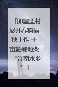 即墨蓝村展开春稻插秧工作 千亩盐碱地变“江南水乡”