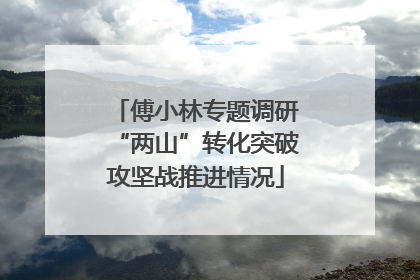 傅小林专题调研“两山”转化突破攻坚战推进情况