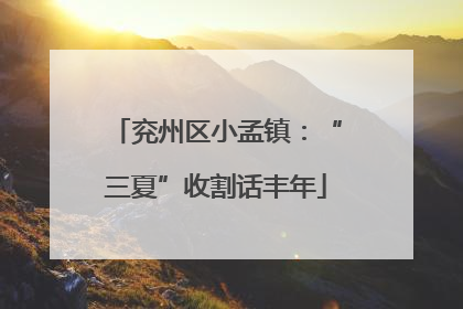兖州区小孟镇：“三夏”收割话丰年