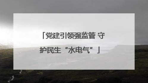 党建引领强监管 守护民生“水电气”