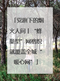 党旗下的烟火人间丨“蜂巢型”网格织就覆盖全城“暖心网”