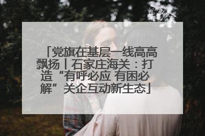 党旗在基层一线高高飘扬丨石家庄海关：打造“有呼必应 有困必解”关企互动新生态
