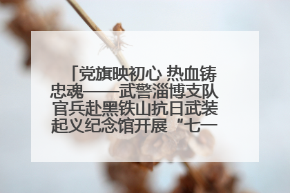 党旗映初心 热血铸忠魂——武警淄博支队官兵赴黑铁山抗日武装起义纪念馆开展“七一”主题党日活动