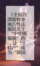 全省首部畜牧业地方性法规是关于“中华熊猫猪”的，让“土特产”成为“新国潮”，让“农产品”升格为“城市IP”