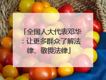 全国人大代表邓华：让更多群众了解法律、敬畏法律