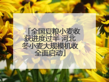 全国夏粮小麦收获进度过半 河北冬小麦大规模机收全面启动