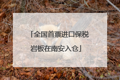 全国首票进口保税岩板在南安入仓