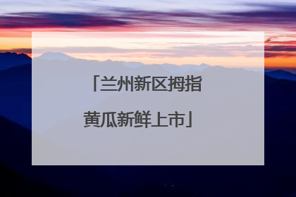 兰州新区拇指黄瓜新鲜上市