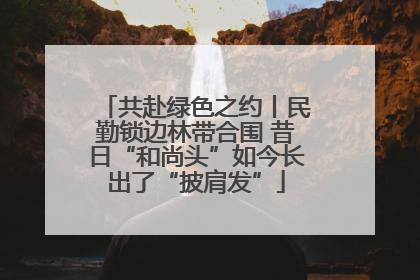 共赴绿色之约丨民勤锁边林带合围 昔日“和尚头”如今长出了“披肩发”
