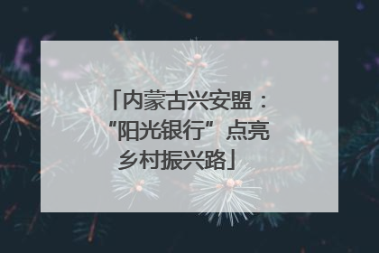 内蒙古兴安盟：“阳光银行”点亮乡村振兴路