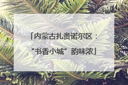 内蒙古扎赉诺尔区：“书香小城”韵味浓