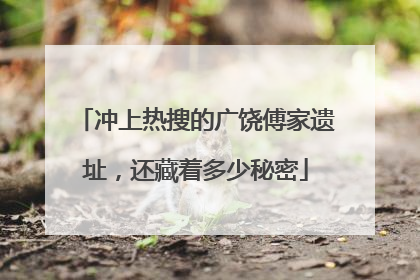 冲上热搜的广饶傅家遗址，还藏着多少秘密