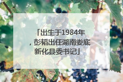 出生于1984年，彭韬出任湖南娄底新化县委书记