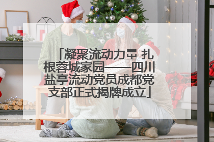 凝聚流动力量 扎根蓉城家园——四川盐亭流动党员成都党支部正式揭牌成立