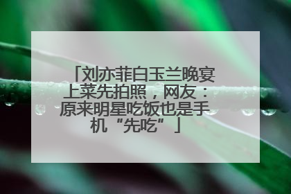 刘亦菲白玉兰晚宴上菜先拍照，网友：原来明星吃饭也是手机“先吃”