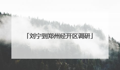 刘宁到郑州经开区调研