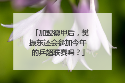 加盟德甲后，樊振东还会参加今年的乒超联赛吗？