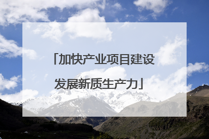 加快产业项目建设 发展新质生产力