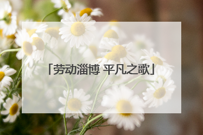 劳动淄博 平凡之歌
