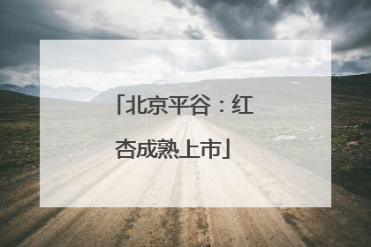 北京平谷：红杏成熟上市