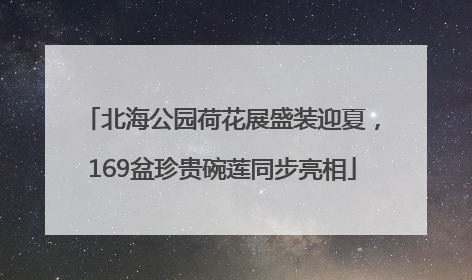 北海公园荷花展盛装迎夏，169盆珍贵碗莲同步亮相