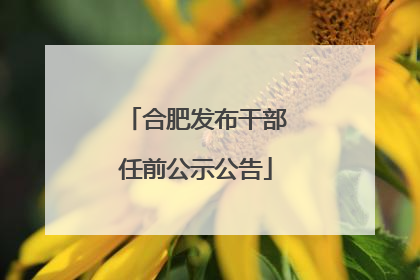 合肥发布干部任前公示公告