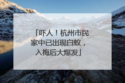 吓人！杭州市民家中已出现白蚁，入梅后大爆发