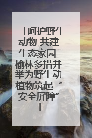 呵护野生动物 共建生态家园 榆林多措并举为野生动植物筑起“安全屏障”