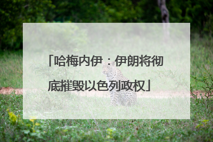 哈梅内伊：伊朗将彻底摧毁以色列政权