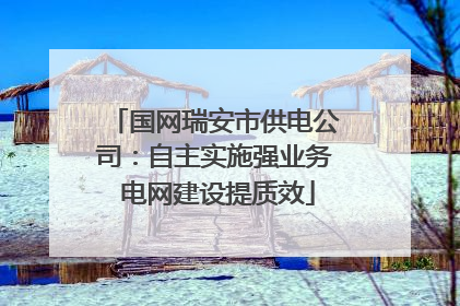 国网瑞安市供电公司：自主实施强业务 电网建设提质效