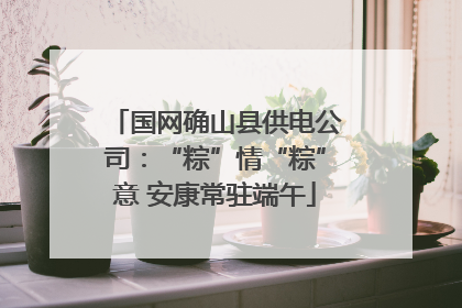国网确山县供电公司：“粽”情“粽”意 安康常驻端午