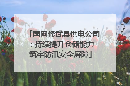 国网修武县供电公司：持续提升仓储能力 筑牢防汛安全屏障