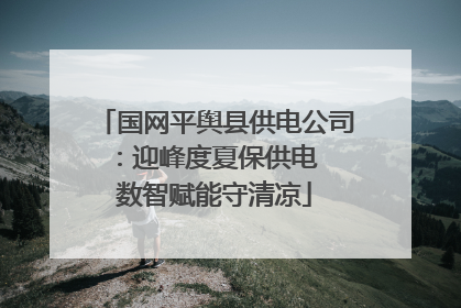 国网平舆县供电公司：迎峰度夏保供电  数智赋能守清凉