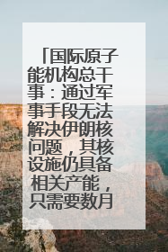 国际原子能机构总干事：通过军事手段无法解决伊朗核问题，其核设施仍具备相关产能，只需要数月就能生产出浓缩铀