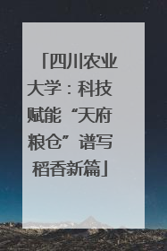 四川农业大学：科技赋能“天府粮仓”谱写稻香新篇