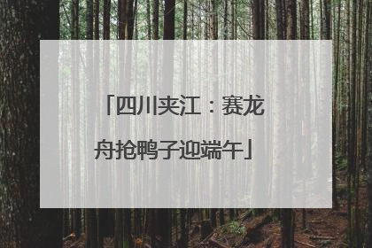 四川夹江：赛龙舟抢鸭子迎端午