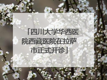 四川大学华西医院西藏医院在拉萨市正式开诊