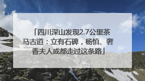 四川深山发现2.7公里茶马古道：立有石碑，杨慎、奢香夫人或都走过这条路
