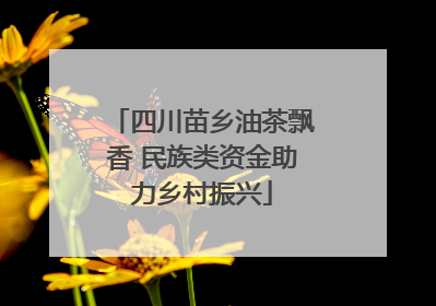 四川苗乡油茶飘香 民族类资金助力乡村振兴