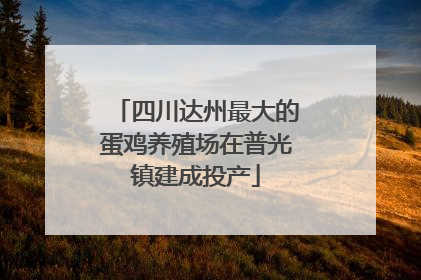 四川达州最大的蛋鸡养殖场在普光镇建成投产