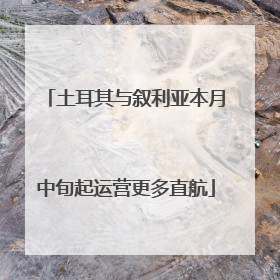 土耳其与叙利亚本月中旬起运营更多直航
