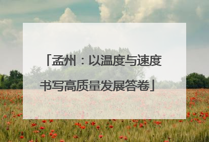 孟州：以温度与速度书写高质量发展答卷