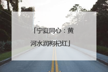宁夏同心：黄河水润枸杞红