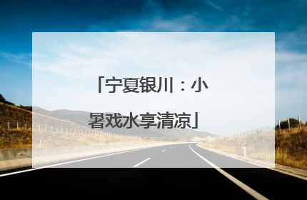 宁夏银川：小暑戏水享清凉