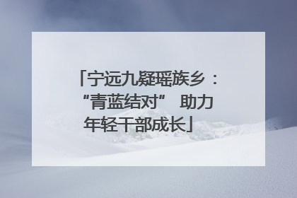 宁远九疑瑶族乡：“青蓝结对” 助力年轻干部成长