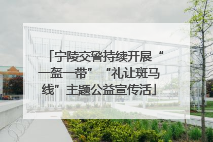 宁陵交警持续开展“一盔一带”“礼让斑马线”主题公益宣传活