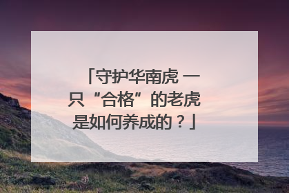 守护华南虎 一只“合格”的老虎是如何养成的？