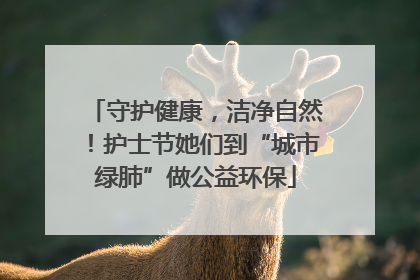 守护健康，洁净自然！护士节她们到“城市绿肺”做公益环保